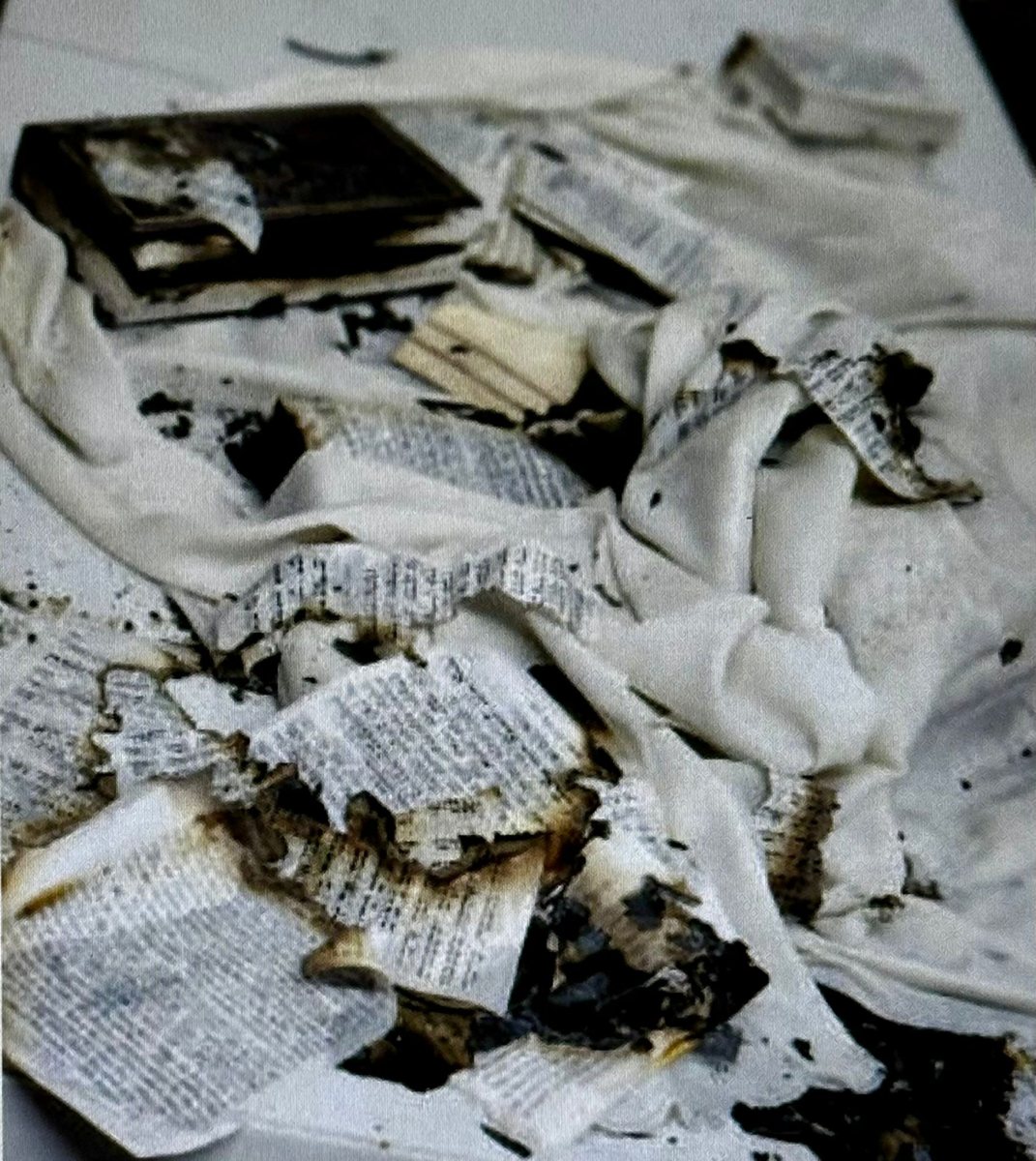 צילום: דוברות המשטרה 