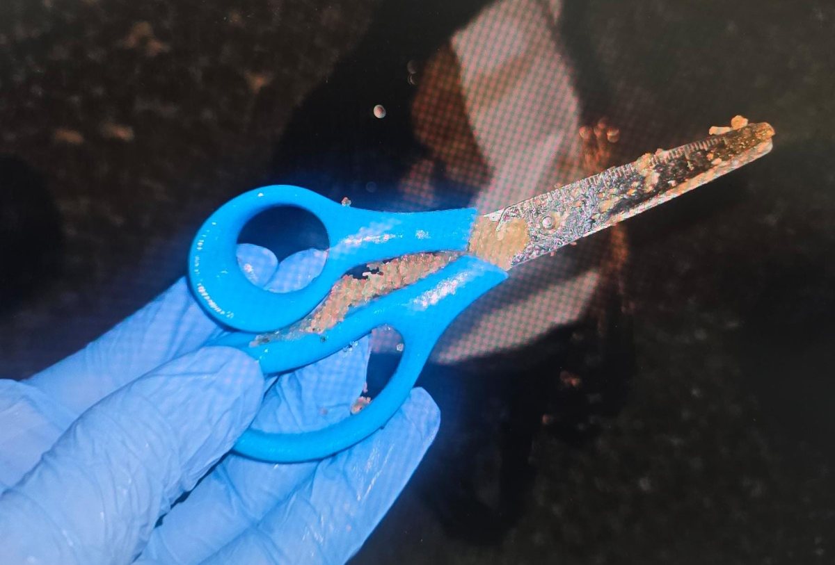 צילום: דוברות המשטרה 