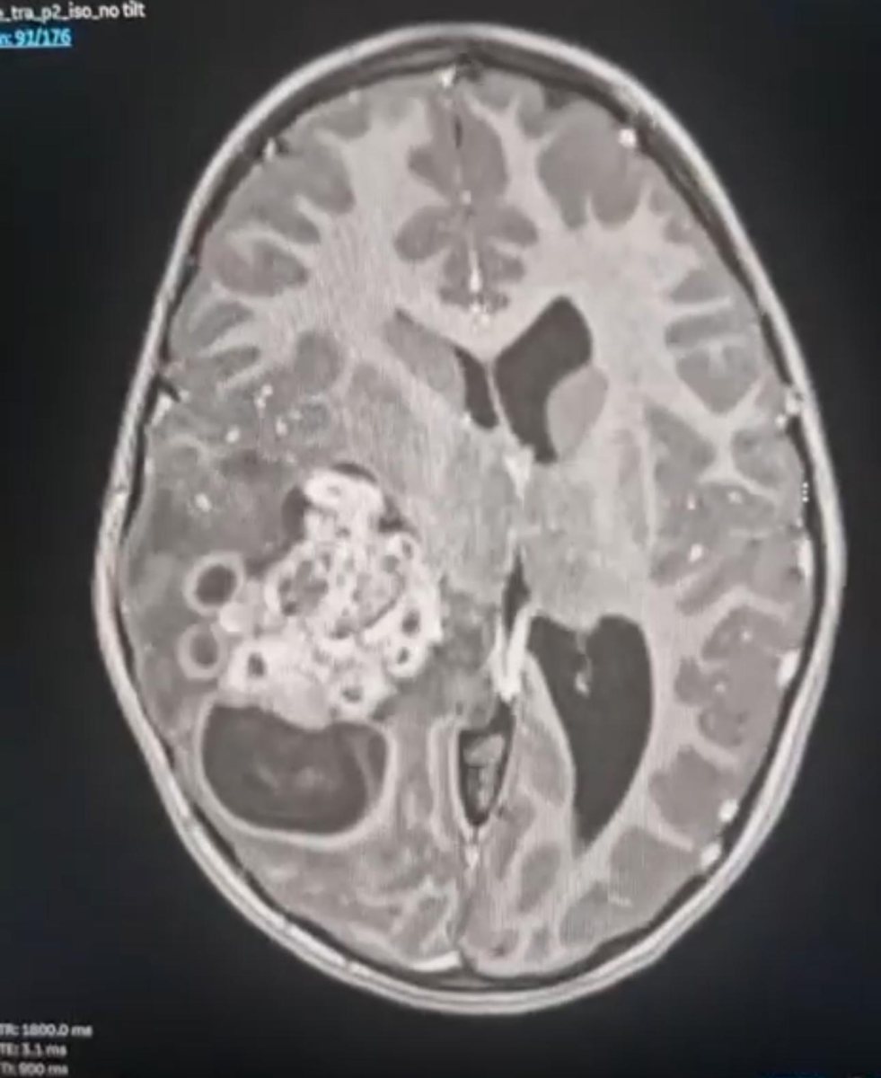 צילום: שערי צדק 