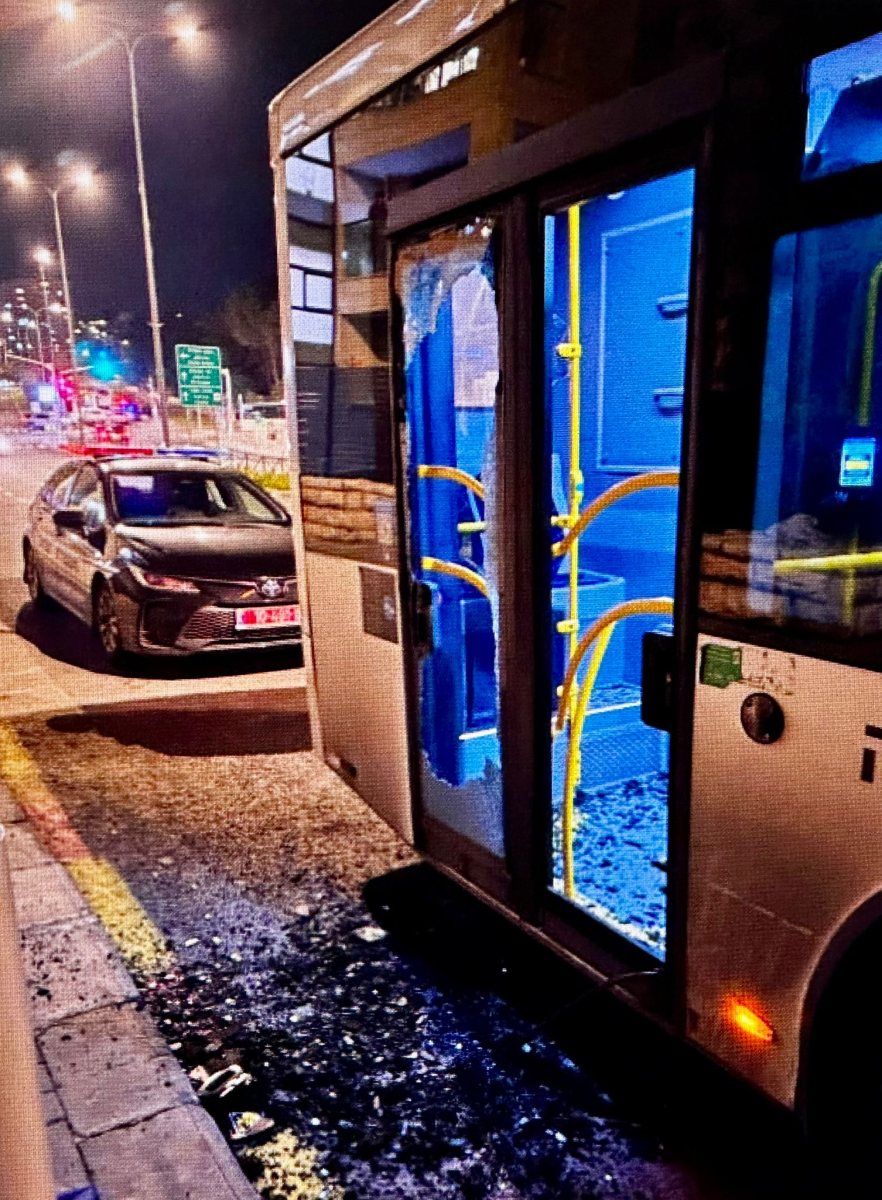 צילום: דוברות המשטרה