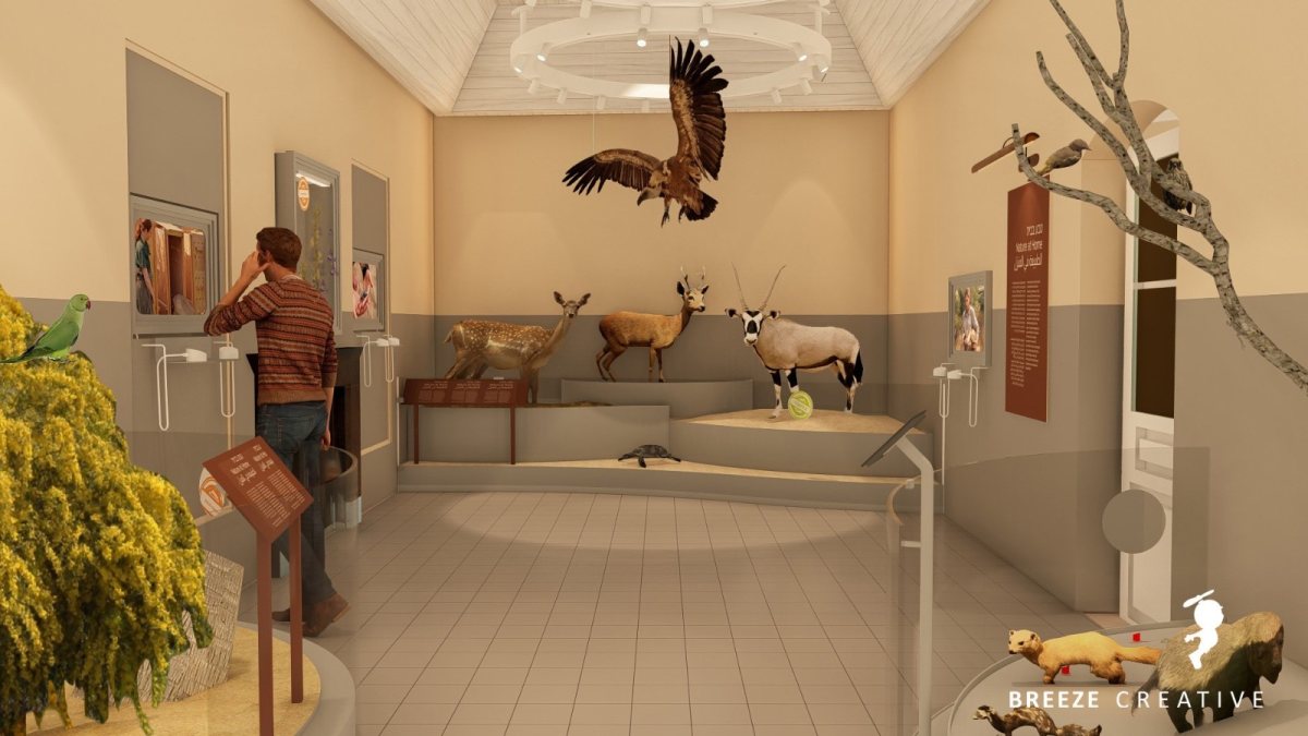 הדמיה: בריז קריאייטיב