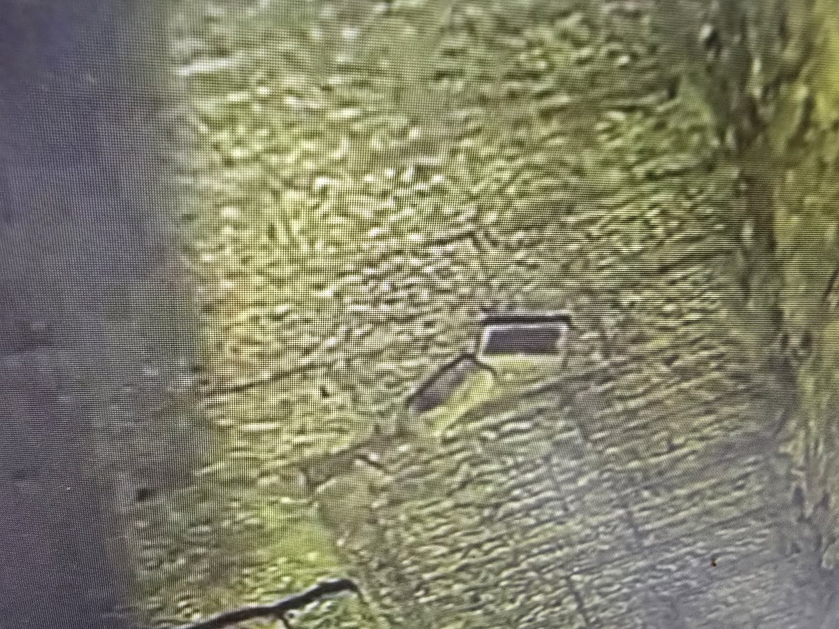 צילום: דוברות המשטרה 