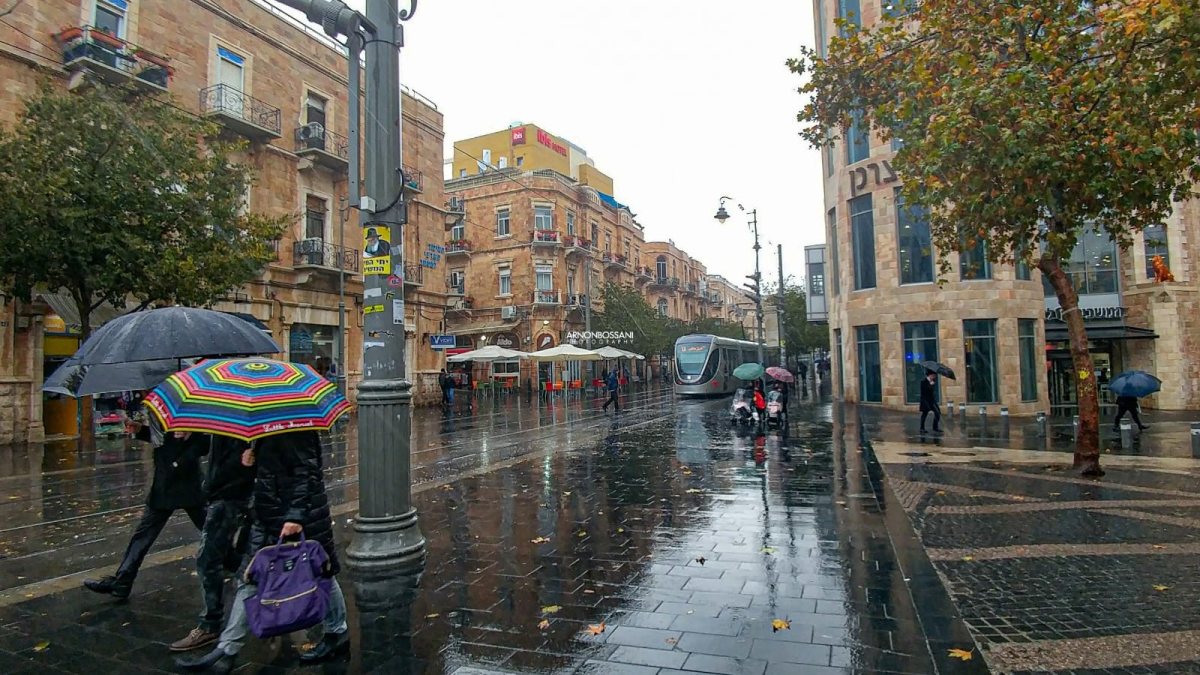 צילום: ארנון בוסאני 