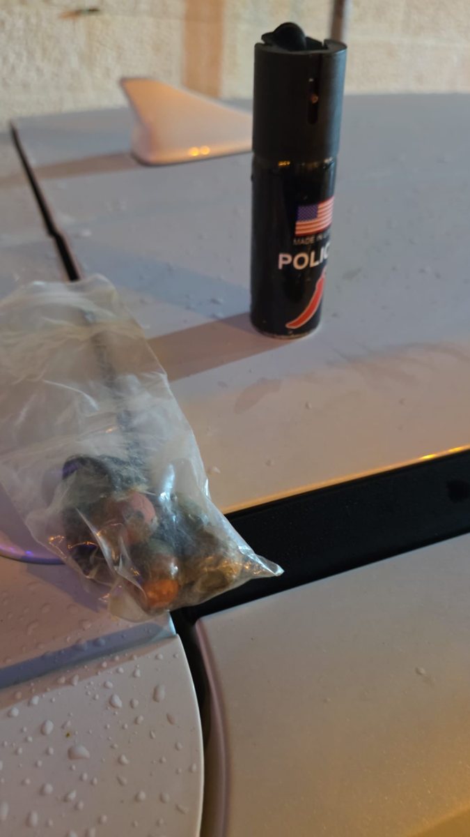 צילום: דוברות המשטרה