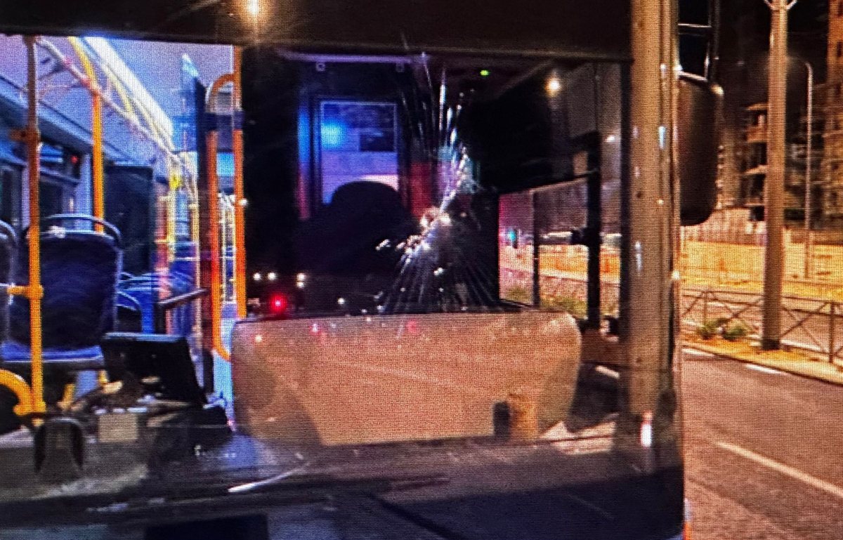 צילום: דוברות המשטרה 