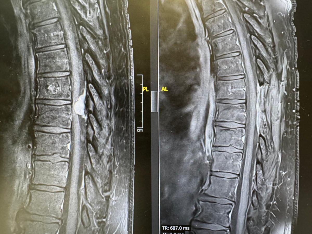 צילום: שערי צדק 