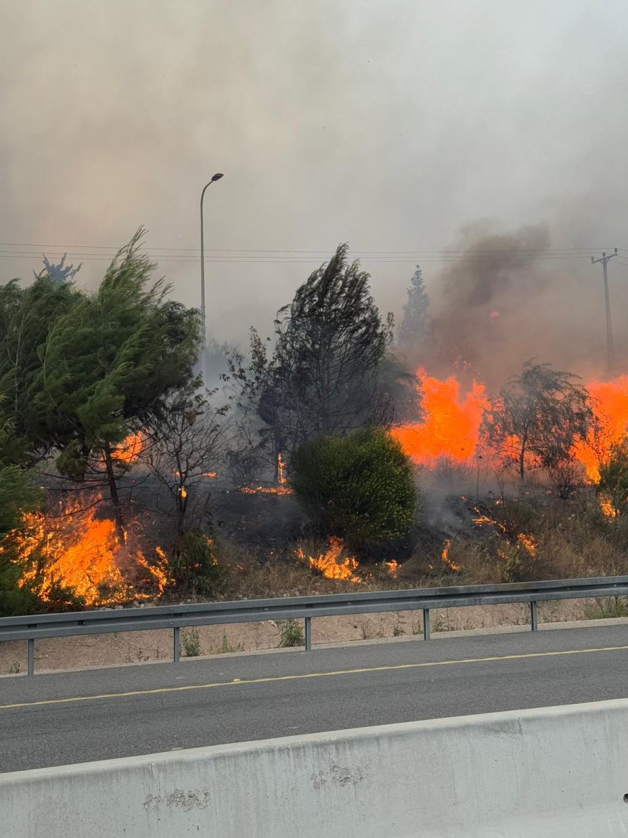 קרדיט צילום: שגב ביטון, תיעוד מבצעי, כב"ה ירושלים. קרדיט צילום: שגב ביטון, תיעוד מבצעי, כב"ה ירושלים.