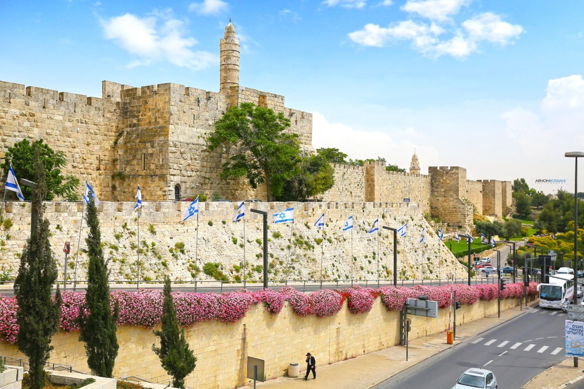 צילום: ארנון בוסאני צילום: ארנון בוסאני
