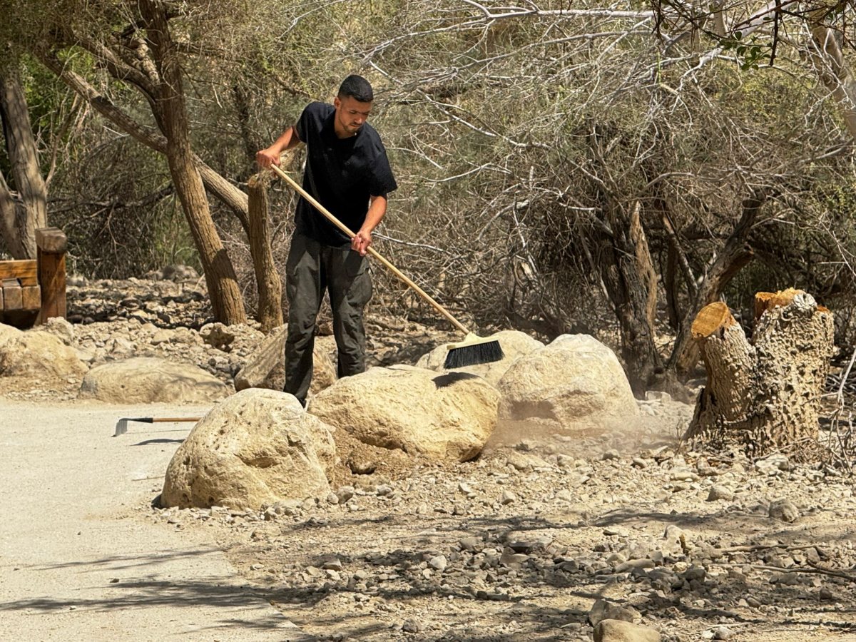 צילום שלומית שביט רשות הטבע והגנים צילום שלומית שביט רשות הטבע והגנים