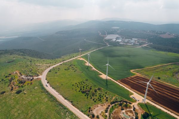 צילום: עידן ארד