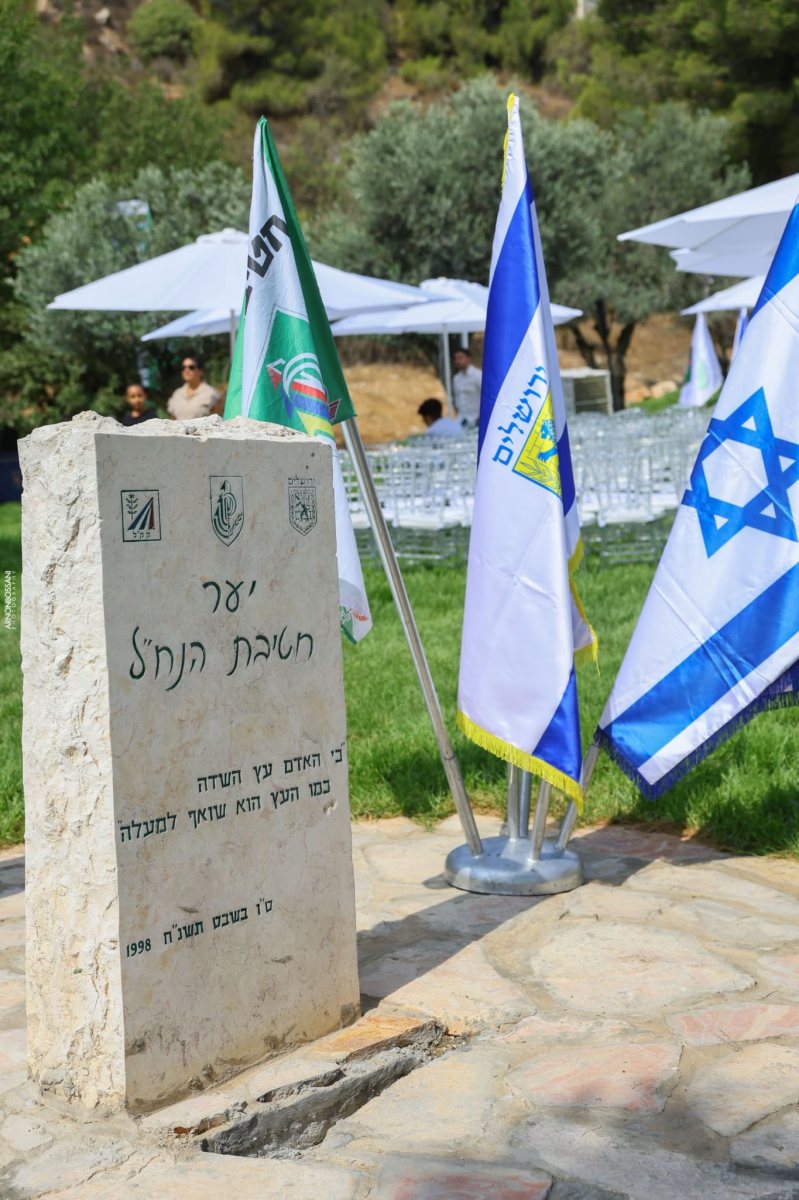 קרדיט: ארנון בוסאני 