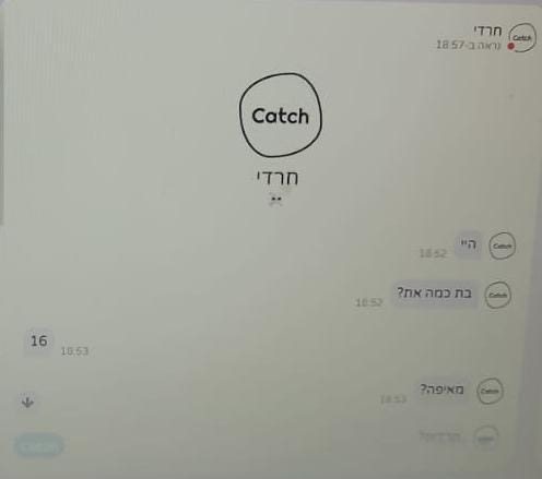 צילום מסך מאחת ההתכתבויות של הפרופיל המזויף 