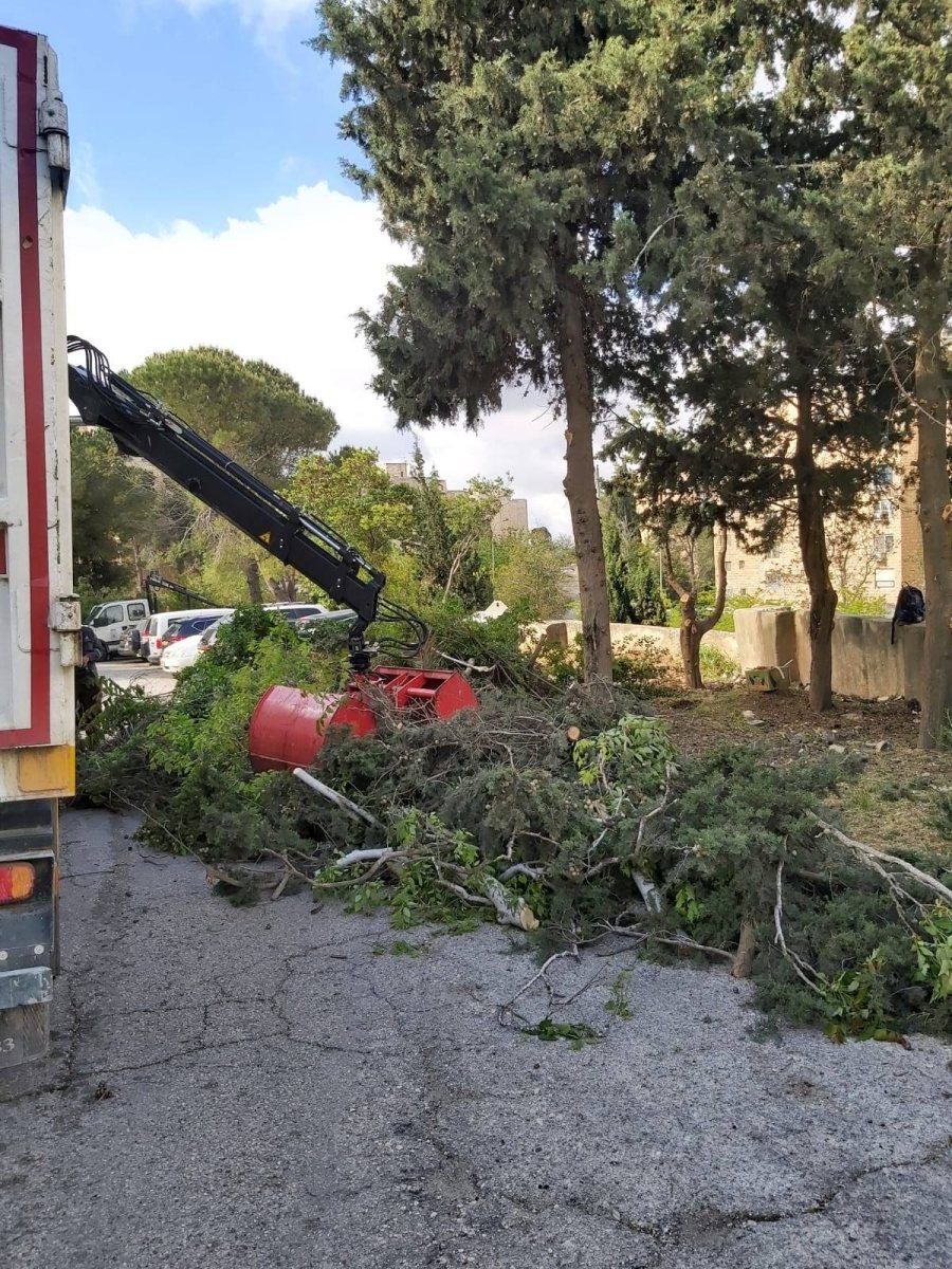 צילום: דוברות העירייה 