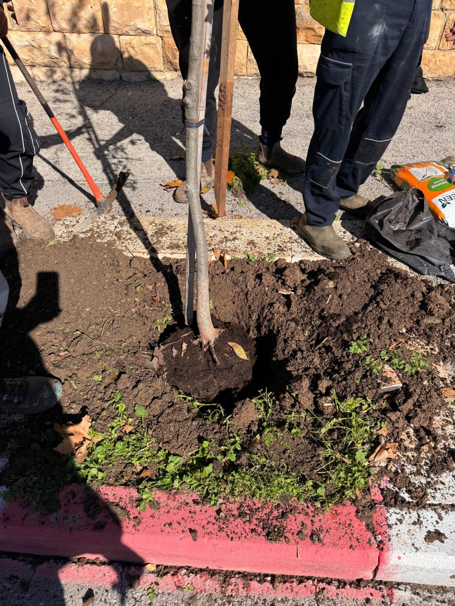 צילום: באדיבות עיריית ירושלים 