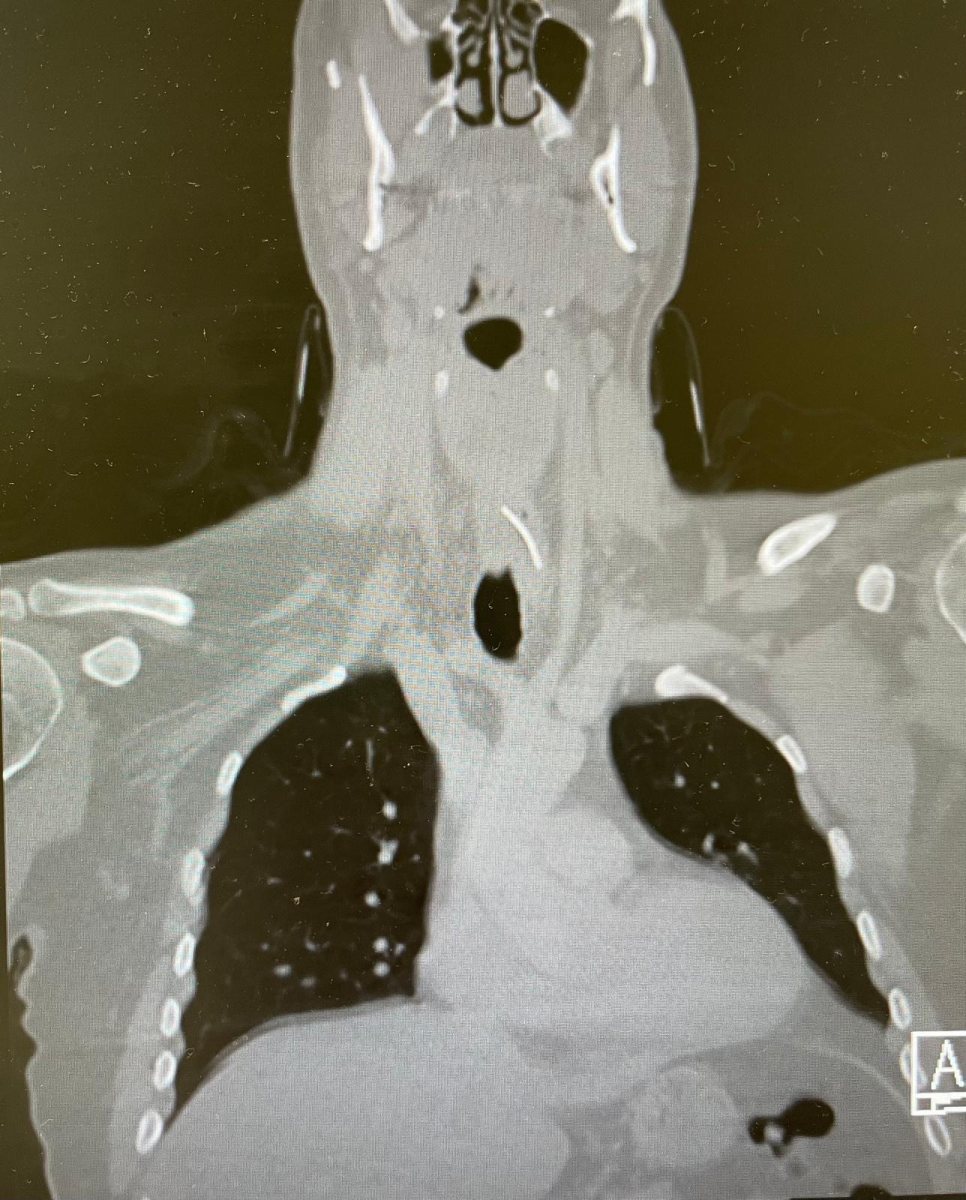 צילום: המרכז הרפואי שערי צדק 