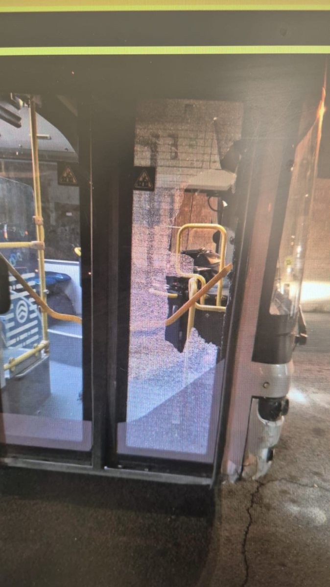 צילום: דוברות המשטרה 