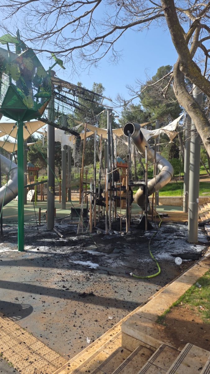 צילום: דוברות המשטרה 