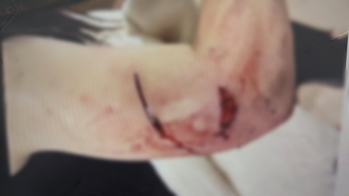 צילום: דוברות המשטרה 