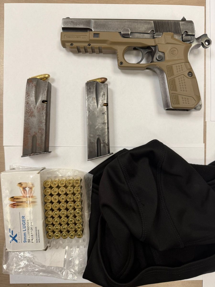 צילום: דוברות המשטרה 