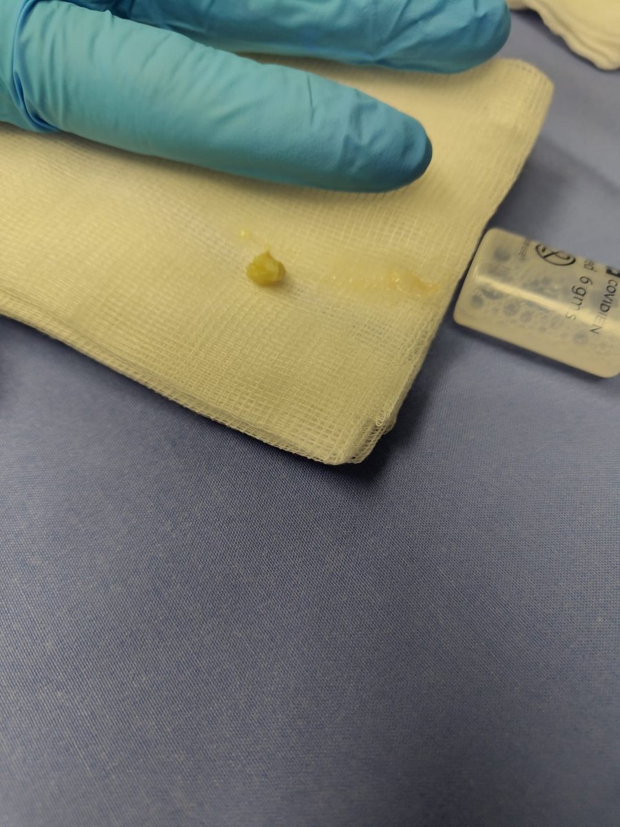 צילום: דוברות שערי צדק 