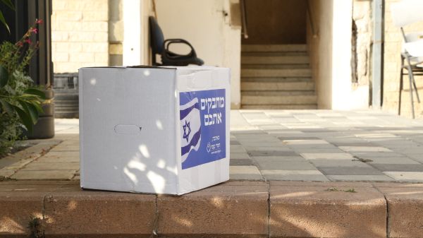 חסדי נעמי