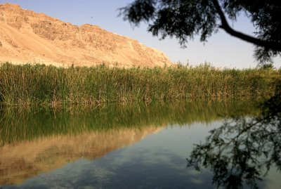 עין פשחה בימים הטובים