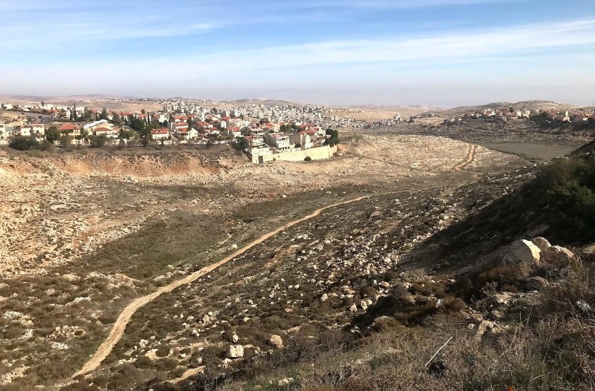 צבאים בוואדי זמרי –צילום: גיא שלך – שלף מטלון – אדריכלי נוף בע"מ.