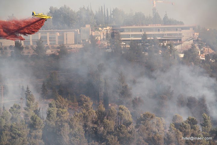 תמונה ללא תיאור