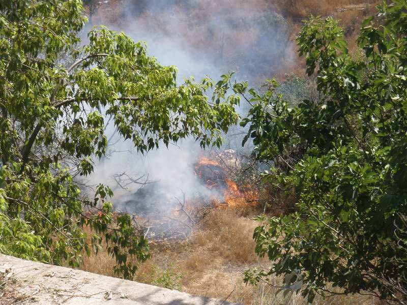 נלחמים באש, היום בליפתא. צילום: להב אסף אברס