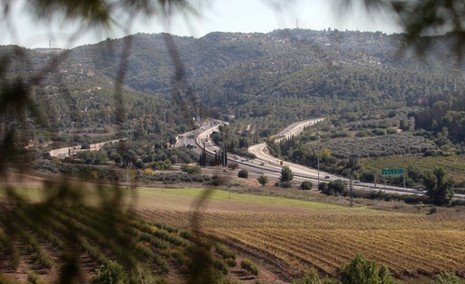 תמונה ללא תיאור