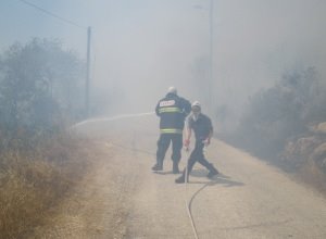 צילום: ארכיון צילום: ארכיון