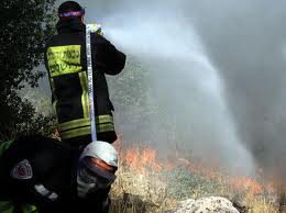 צילום:פלאש 90 צילום:פלאש 90
