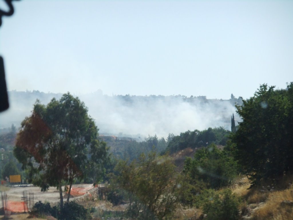 צילום: רשף משנה אסף אברס