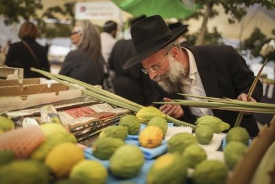 תמונה ללא תיאור