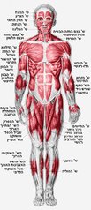 תמונה ללא תיאור