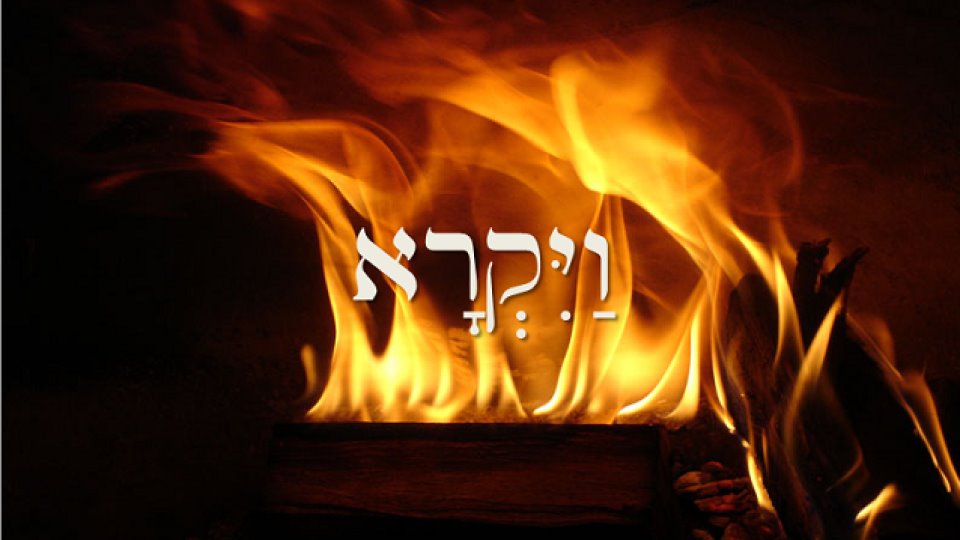 תמונה ללא תיאור