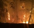 השריפה ביער לטרון: 600 דונם עלה באש 