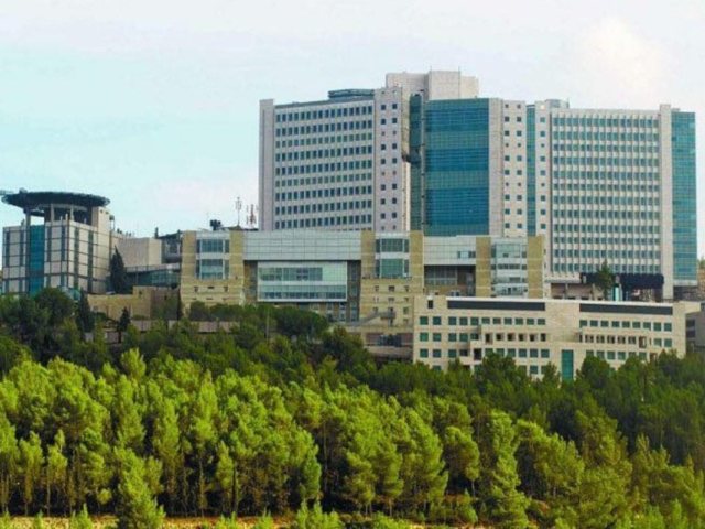 ביה״ח הדסה. צילום: דוברות הדסה 