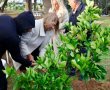 דניאל קופף (צילום: דו"צ) לזכרם: חורשה לזכר הנופלים הוקמה באשקלון
