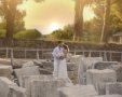 תמונה 1: magnific