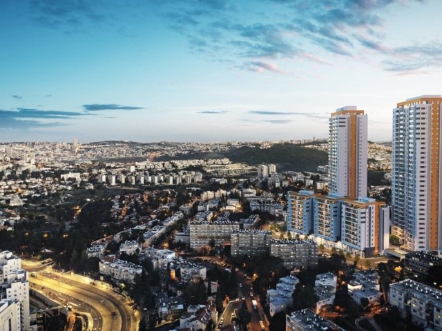 הדמיה: 3DVISION