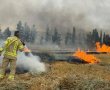 ממצאי חקירה ראשוניים: אפשרות מפתיעה לפרוץ השריפות בהרי ירושלים