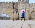 צילום: ארנון בוסאני 
