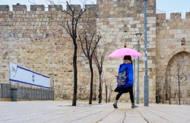 צילום: ארנון בוסאני 