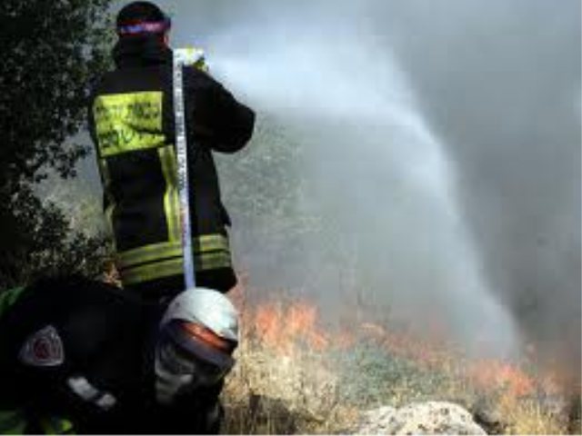 צילום:פלאש 90