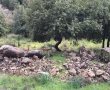 הוועדה הארצית הפקידה את תכנית הבנייה במצפה נפתוח: קק"ל והארגונים הירוקים פתחו במאבק