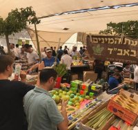צילום: דוברות עיריית ירושלים 