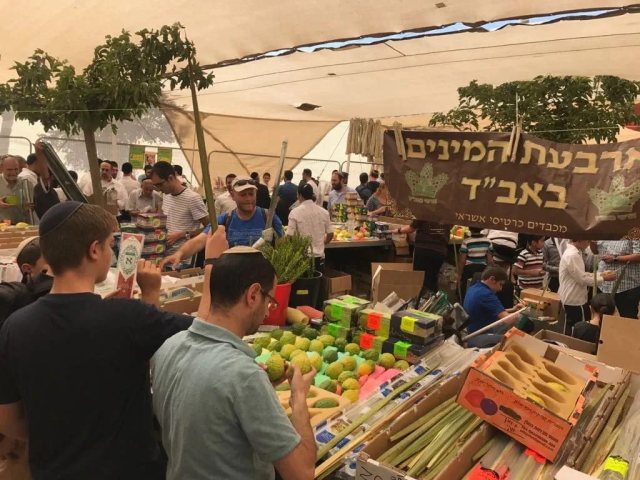 צילום: דוברות עיריית ירושלים 