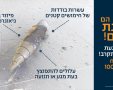 צילום: פיקוד העורף