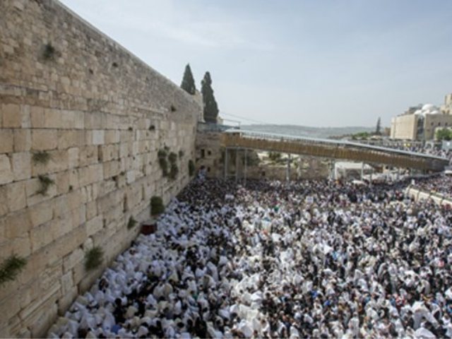 צילום: פלאש 90